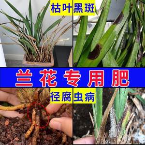 兰花免稀释专用肥黑斑病烂根杀菌药促生根开花肥料通用型营养液