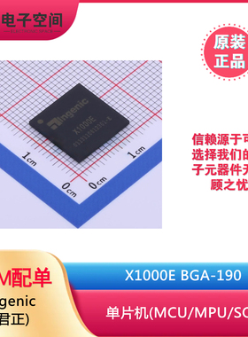 原装正品 X1000E BGA-190 单片机(MCU/MPU/SOC) ingenic(君正)