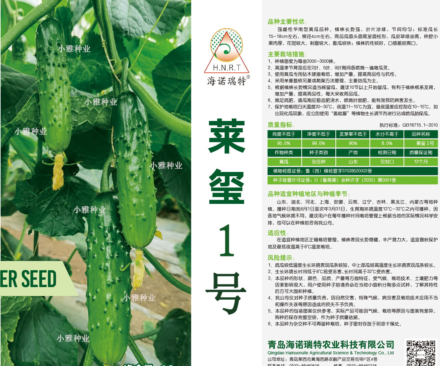 莱玺1号 强雌旱黄瓜 刺瘤较大  颜色翠绿  高抗高产