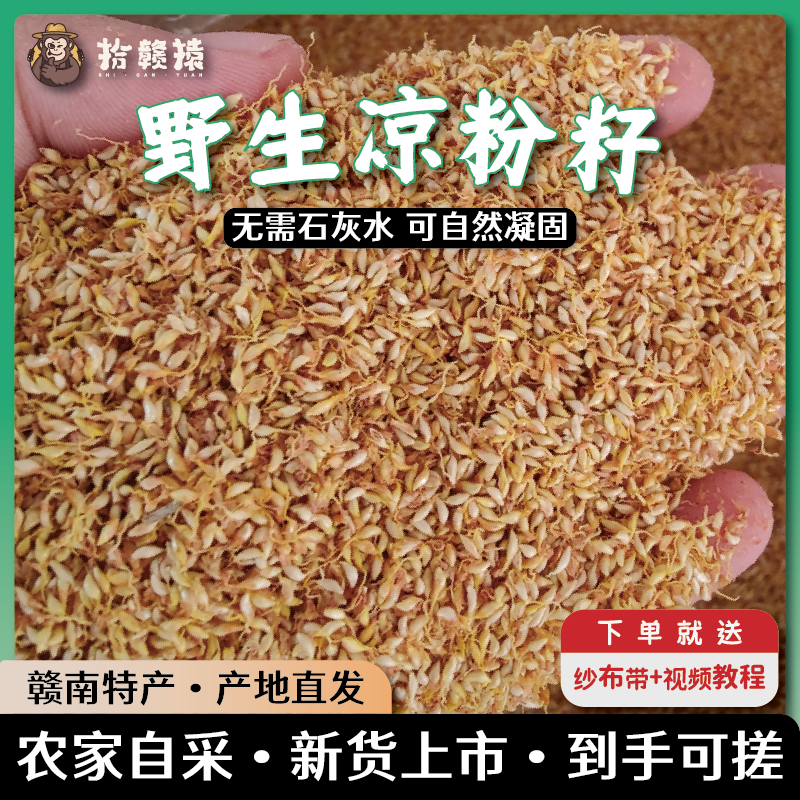 2026新货野生凉粉籽手搓冰粉纯天然薜荔免石灰爱玉籽木莲江西特产