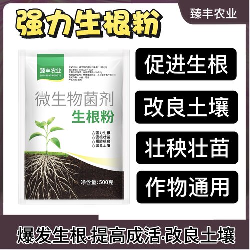 臻丰农业生根粉快速生根壮苗扦插移栽育苗树木防根腐烂根僵苗萎蔫