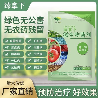 臻拿下 微生物菌剂 瓜果蔬菜真菌细菌性病害 农用杀菌剂