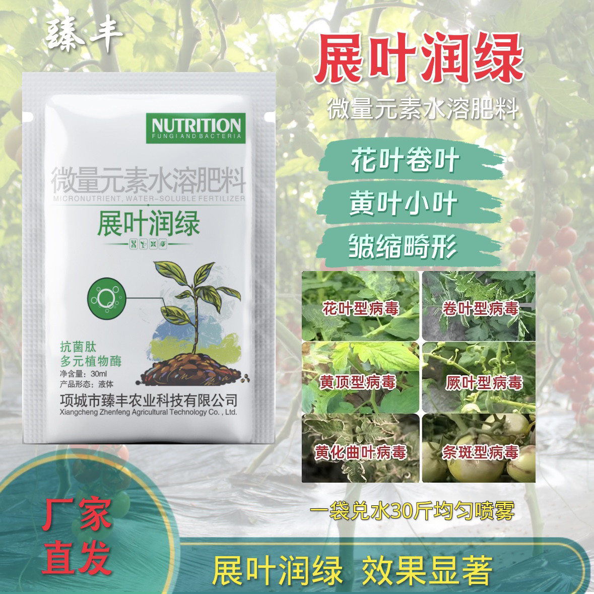 展叶润绿病毒病克星辣椒番茄花叶卷叶卷叶皱缩瓜果蔬菜病毒专用药,农用物资,叶面肥,淘宝优惠券,粉丝福利购,淘宝优惠卷