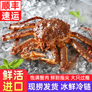 帝王蟹鲜活海鲜活冻俄罗斯进口螃蟹冰鲜水产特大蟹腿肉整只生冻