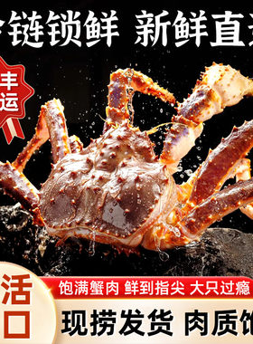 帝王蟹鲜活生冻智利进口生冻海鲜水产特大螃蟹活帝王蟹长脚蟹整只