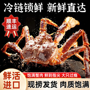 帝王蟹鲜活生冻智利进口生冻海鲜水产特大螃蟹活帝王蟹长脚蟹整只