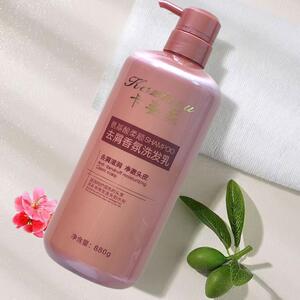氨基酸柔亮丝滑香氛洗发乳蛋白滋润护发霜柔顺去屑水控油露卡姿柔
