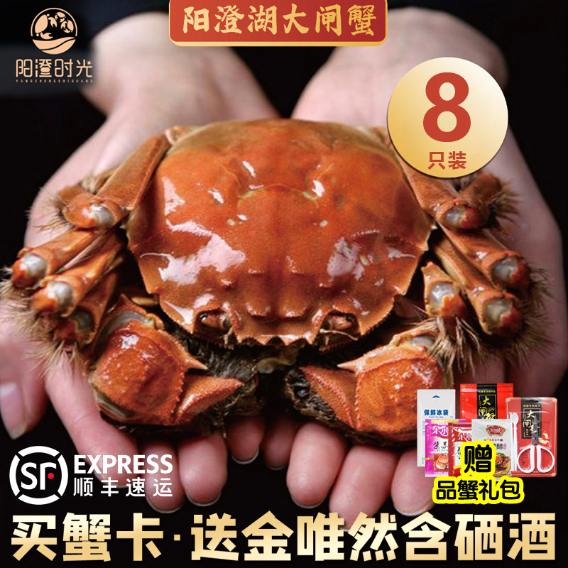 江苏特产阳澄时光大闸蟹8只装公蟹母蟹阳澄湖蟹卡送金唯然53度酒
