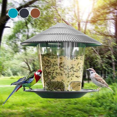 Bird Feeder Automatic Foot Feeding Tool Outdoor Bird Feeder