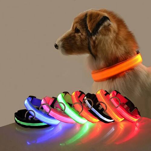 Nylon LED Night Safety Flashing Glow In The Dark Dog Leash D