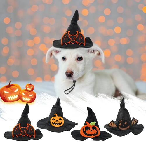 Halloween Spider Web Witch Hat Elastic Hair Band Pet Supplie