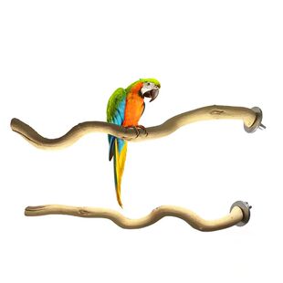 Natural Parrot Wood Fork Branch Perch Bird Cage Hanging Swin