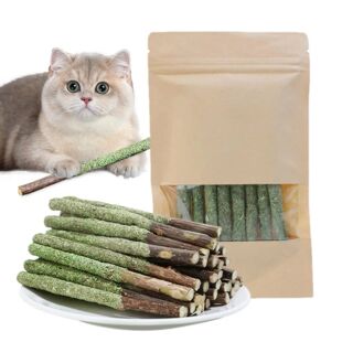 Indoor Cat Grass Sticks Teething