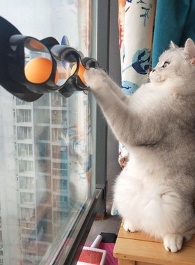 Cat Windowsill Toy Wall Toy Cat Track Ball Toy Cat Sucker Ba