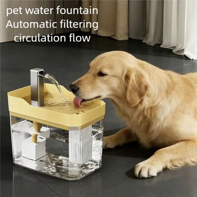 Hot transparent pet water dispenser plug-in automatic water