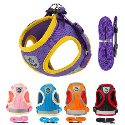 Puppy Harness and Leash Set Breathable Summer Mesh Dog Harne
