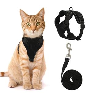 Cat Harness Lead Leash Set Reflective Escape Proof Pet Mesh
