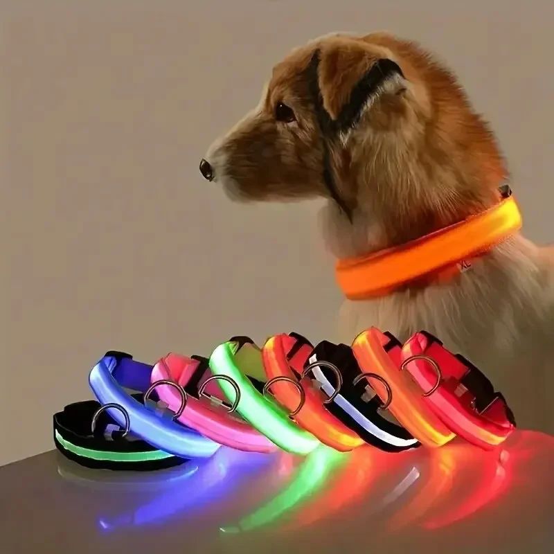 Light Up LED Dog Collar Safety Night Walking Flashing Glow I