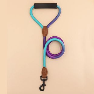 Pet dog leash, gradient color with comfortable padded handle