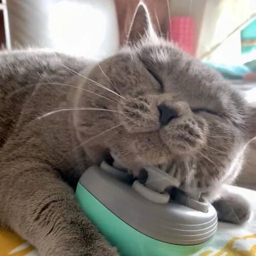 Electric Cat Massager Head Back Scratcher for Relieving Tens