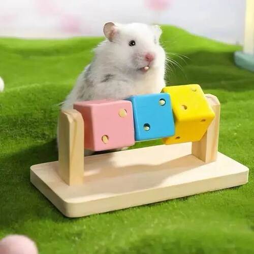 Interactive Chewing Toy Colorful Wooden Rubik's Cube-shaped