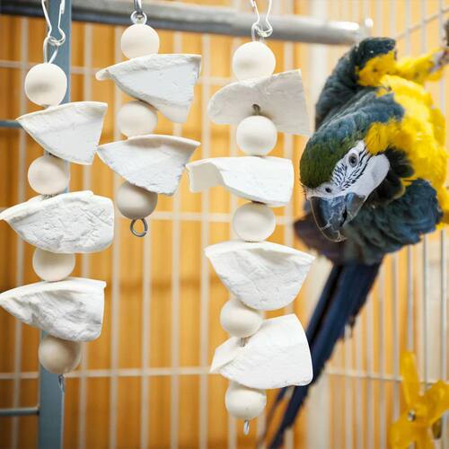 Cuttlefish Bone Bird Hanging Chew Toy Parrot Bird Teeth Calc