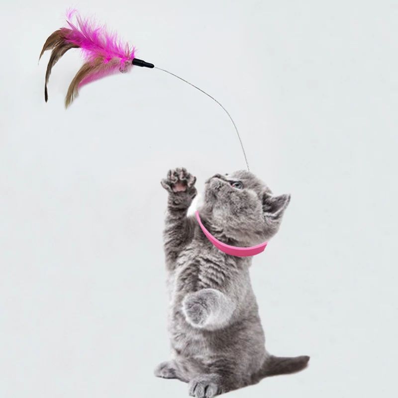 New product collar for cat teaser self-entertainment cat toy