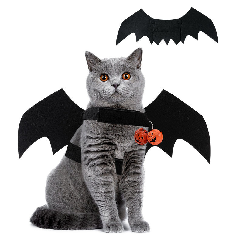 Halloween Party Decor Cat Ghost Day Dress Up Costume Dog Bat