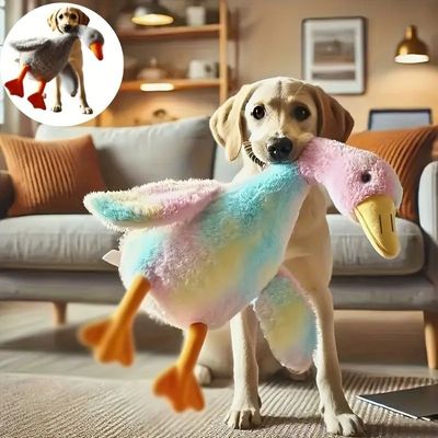 50cm Soft Colorful Duck Plush Toy for Cats Dogs Relax Pet Co