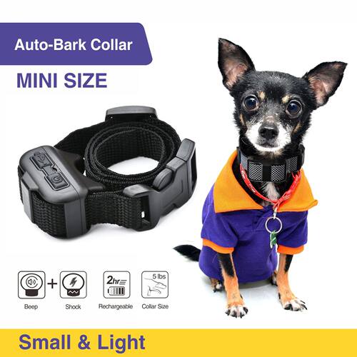 Small Dog Auto Bark Collar Rechargeable Dog Training Electri