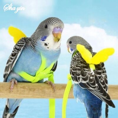 Random Parrot Bird Harness Leash Set Anti-bite Training Harn