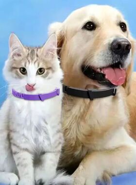 Plastic Dog Collar Waterproof Pet Cat Puppy Collar Kitten Co