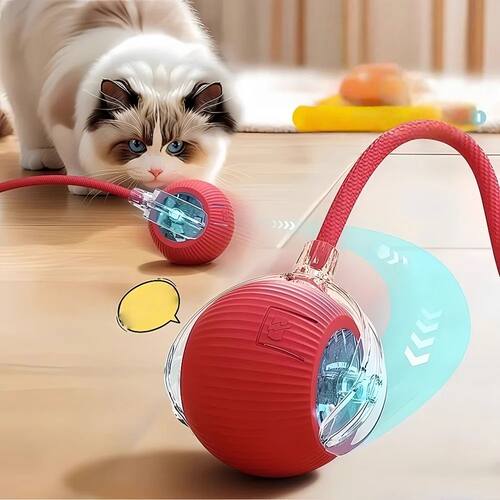 Dog Toy Automatic Dog Walking Ball Self-Happy Relieving Bore