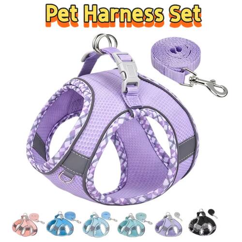 Pet Dog Harness and Leash Set for Small Medium Dog Outdoor W