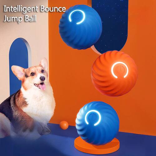 Smart Electric Ball Toy Gravity Jump Balls Dog Plaything USB