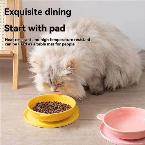 Pet meal mats are leak proof waterproof anti slip dirty and