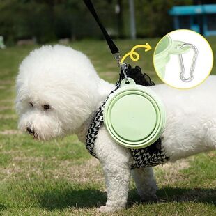 Bowl Cats 350ml Foldable For Dogs Silicone Pet Portable