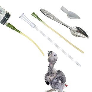 Bird Feeding Dropper Hose Small Pet Feeder Water Needle Tube