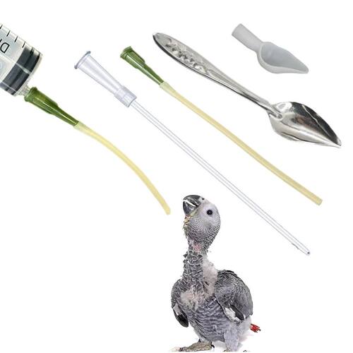 Bird Feeding Dropper Hose Small Pet Feeder Water Needle Tube