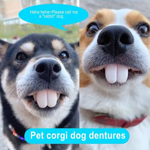 Pets Dog False Teeth Toy Rabbit Front BuckTeeth Cover Funny
