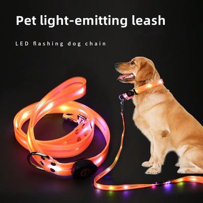 Pet light-up collar leash LED flashing collar USB charging d