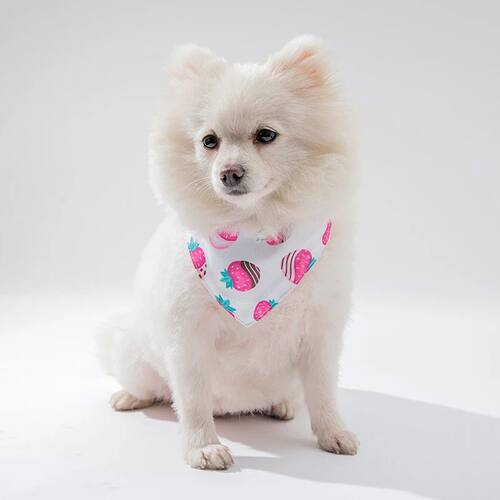 S/M/L Dog Bandanas Fruit Print Pet Triangle Scarf Saliva Tow
