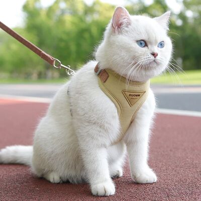 Cat Puppy Outdoor Walking SuppliesPet Harness and Leash Set