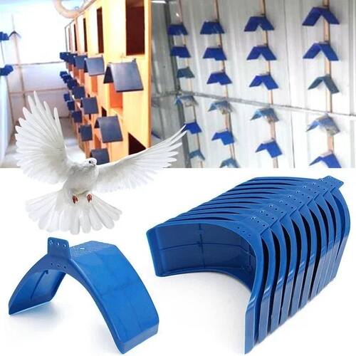 10 Pieces V Pigeon Bird Pet Roost Bird Equipment Racing Pige