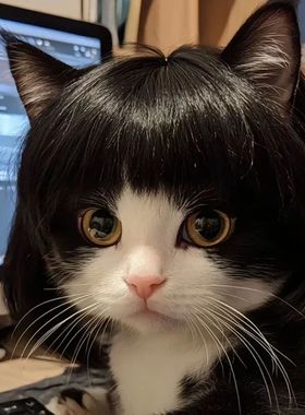 Pet Wig Cat Wig Cosplay Props Curly Hair Straight Hair Pet S