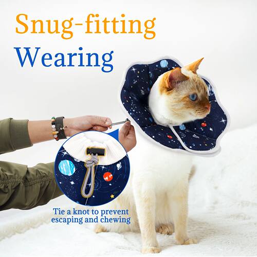 A new Elizabethan collar, stylish and high-value cartoon pri