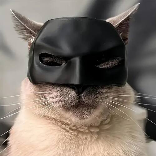Gift Black Bat Cat Avenger Mask Matte Cool Bat Mask Superher