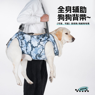 Pet Assistance With Elderly Dog Disabled Dog Rehabilitation