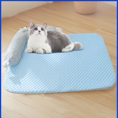 New pet ice pad can be disassembled and washed in summer