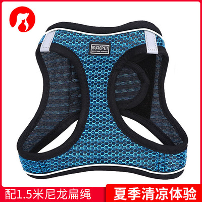 Cat Harness and Leash for Walking Escape Proof, Kitten Vest
